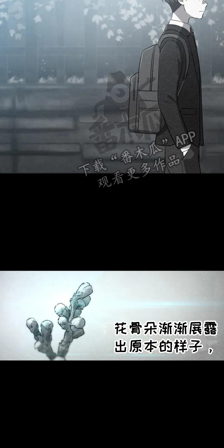 第5章：再次跳动1