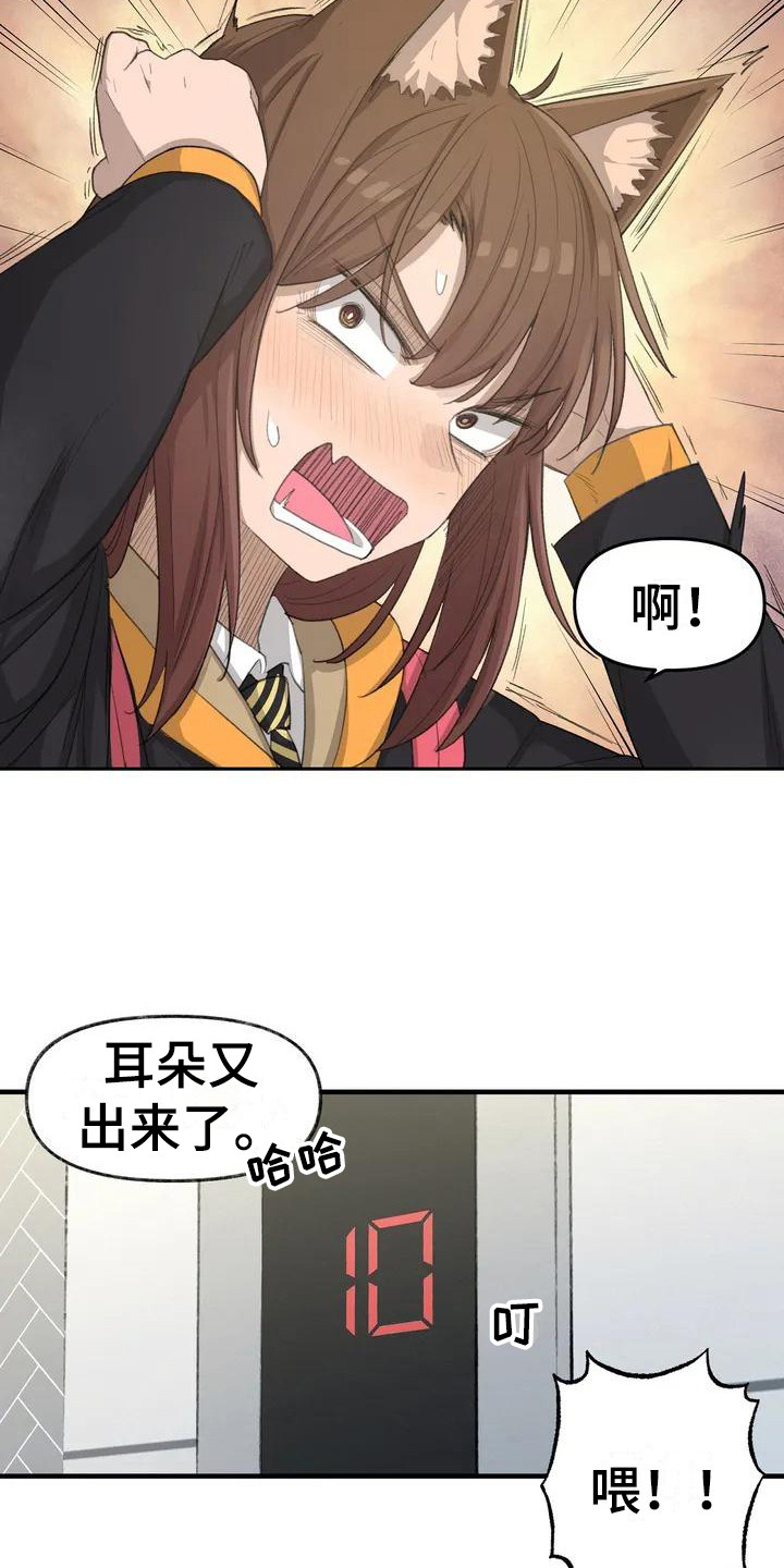 第31章：新的开始6