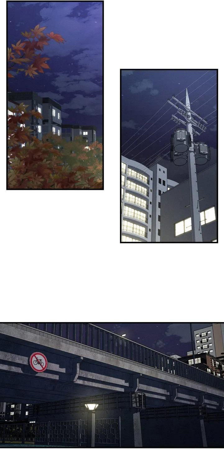 第12章：表白15