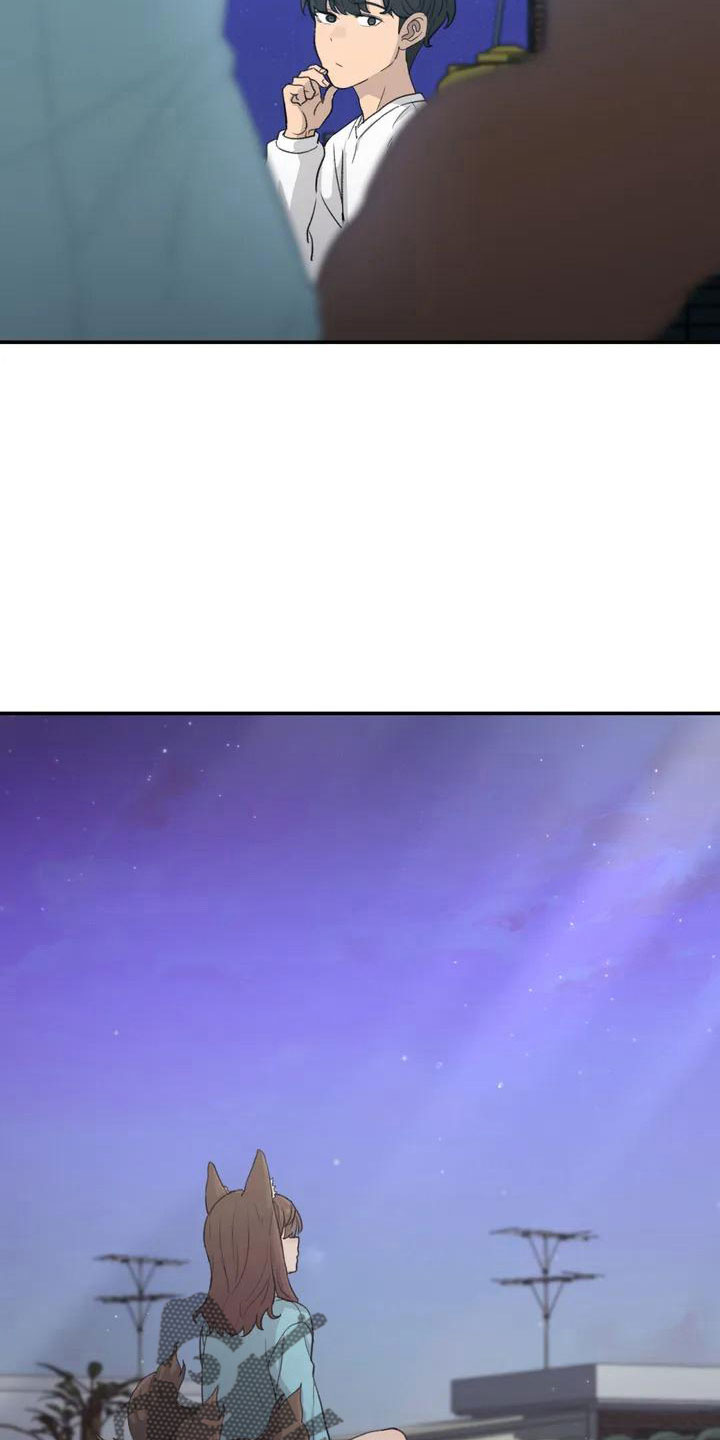 第44章：不了解19