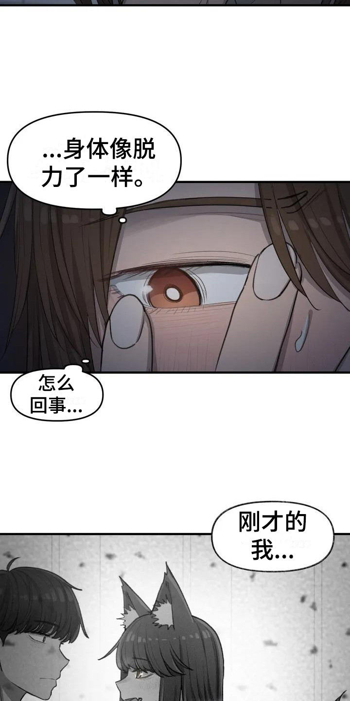 第19章：约定12