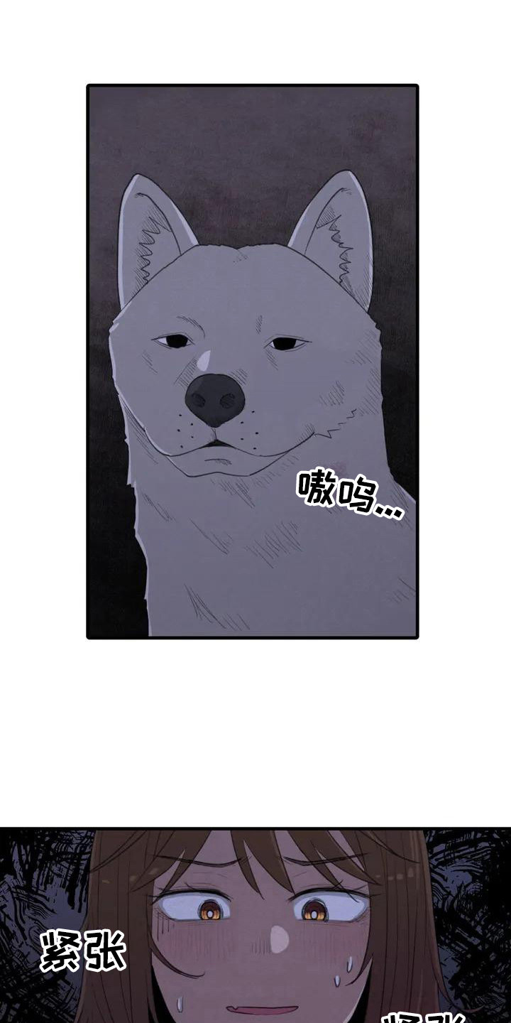 第3章：汪汪叫0
