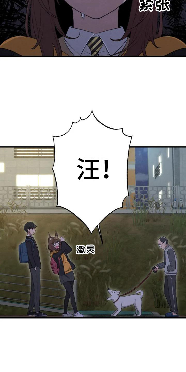 第3章：汪汪叫1