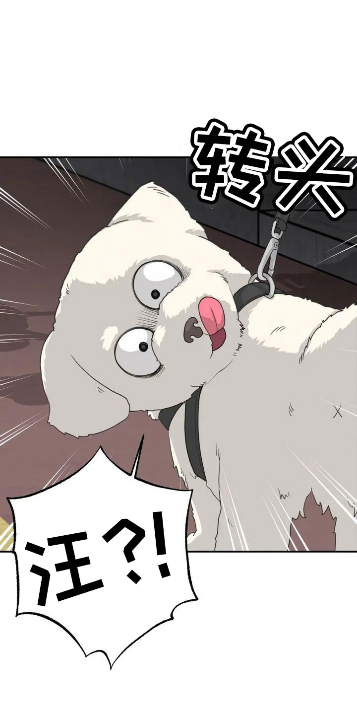 第62章：别慌张17