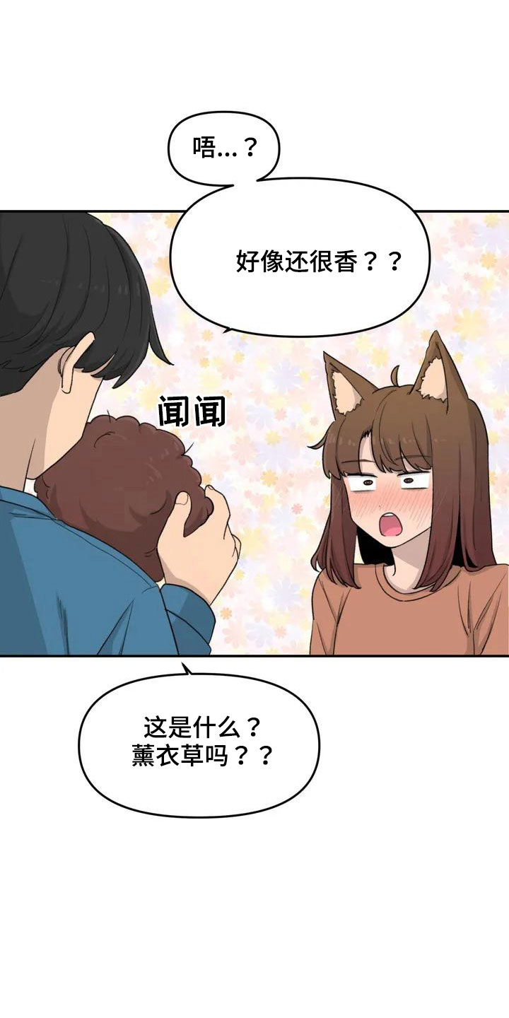 第51章：还很香18