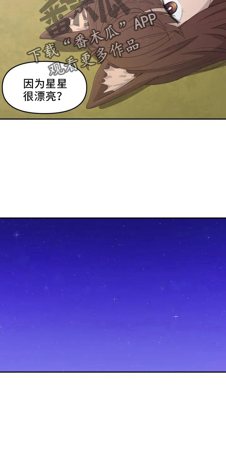 第44章：不了解25