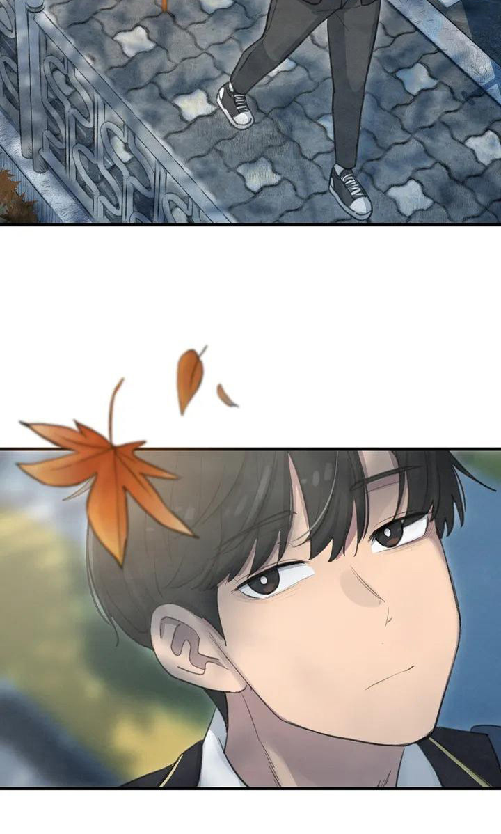 第6章：枫叶一样17