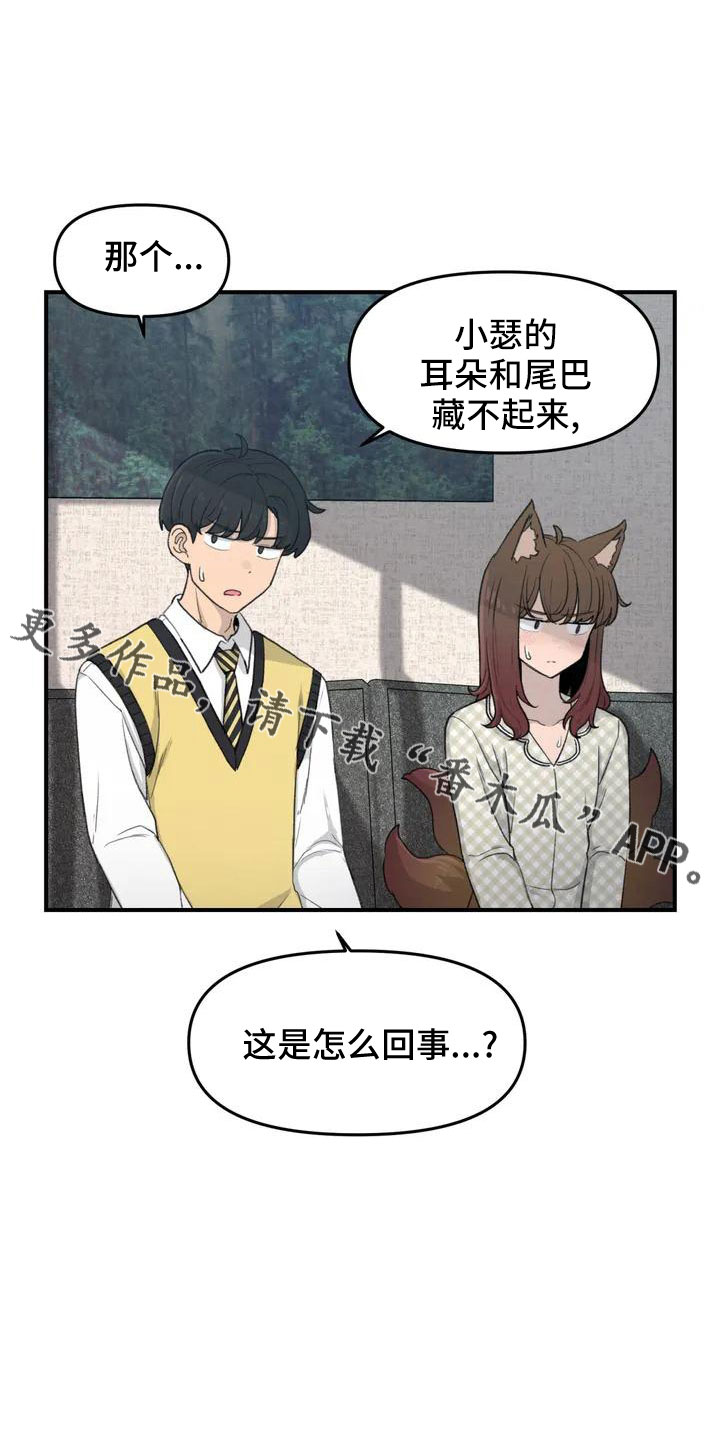 第53章： 羞羞的事7