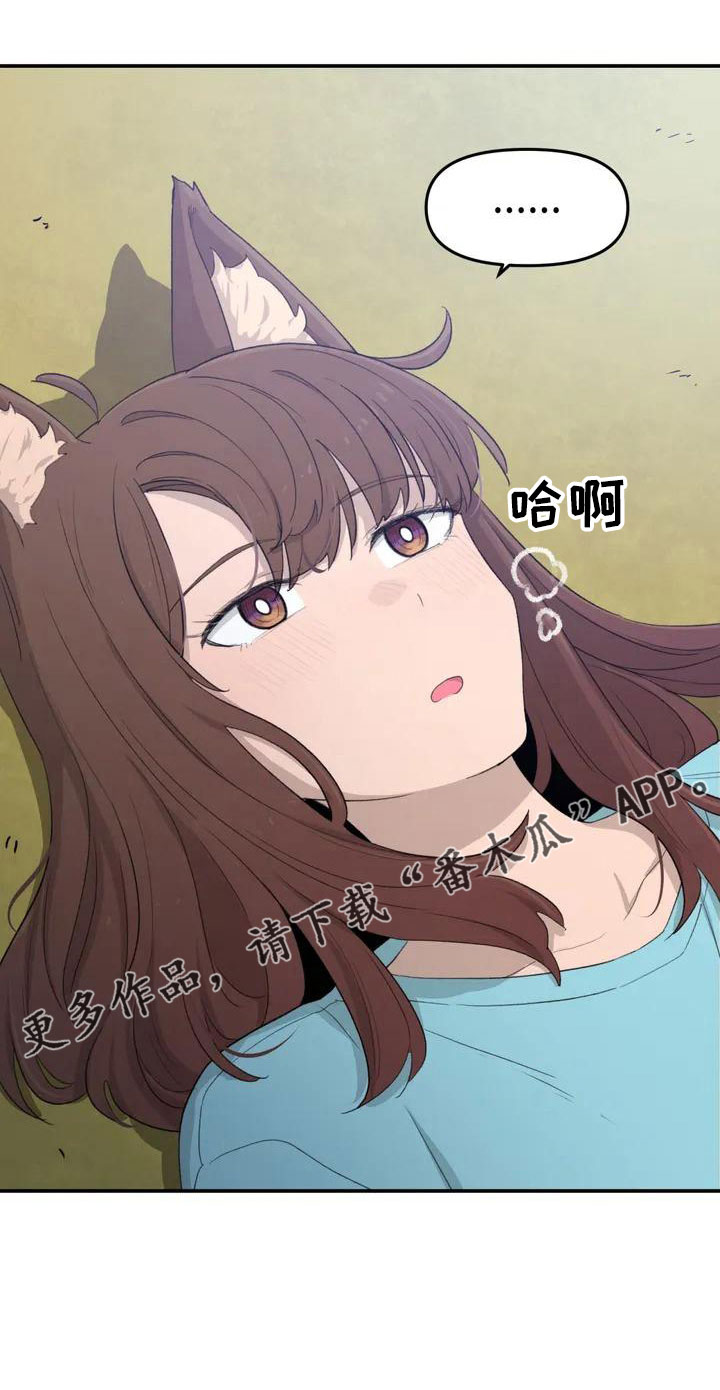 第44章：不了解26