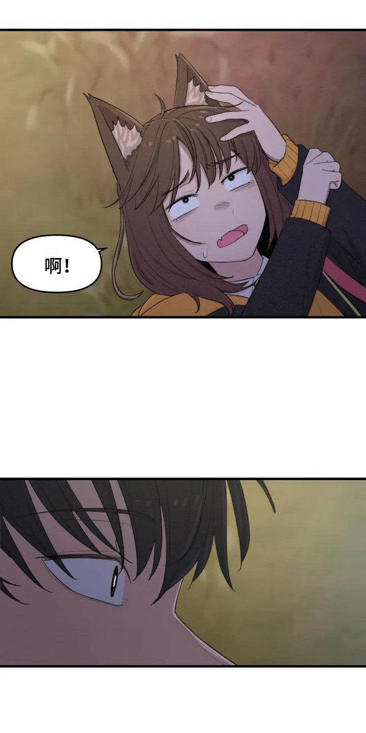 第3章：汪汪叫2