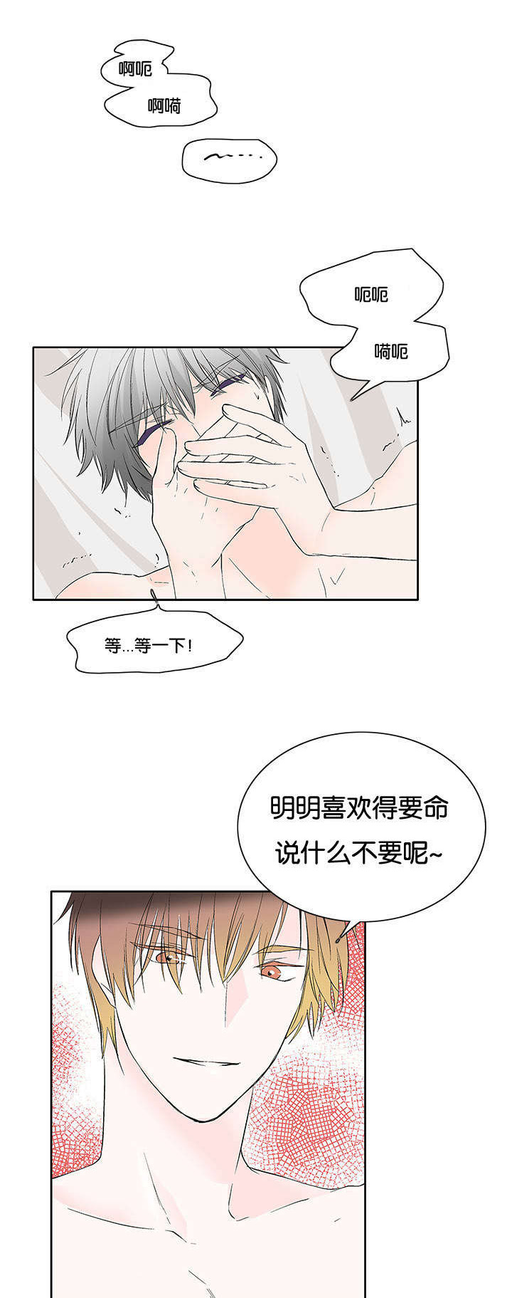 第41章：为什么这样子3