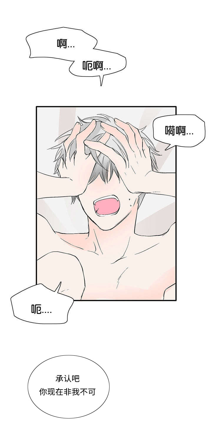 第42章：我就喜欢你13