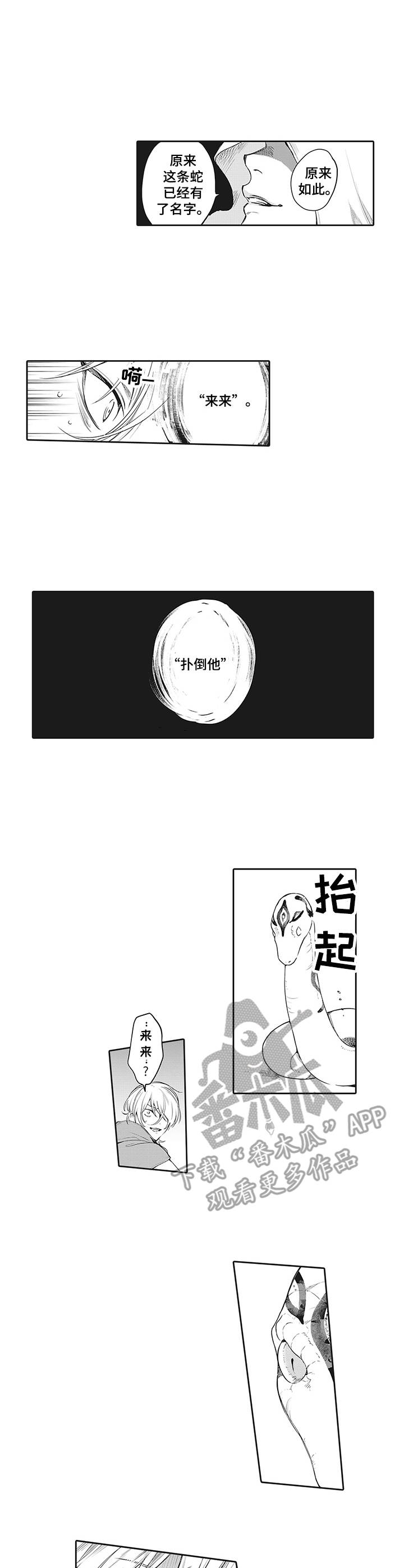 第17章：咒术8