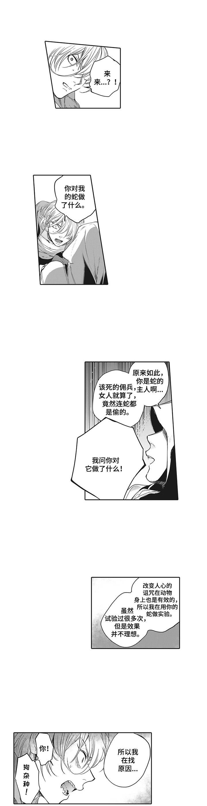 第17章：咒术7