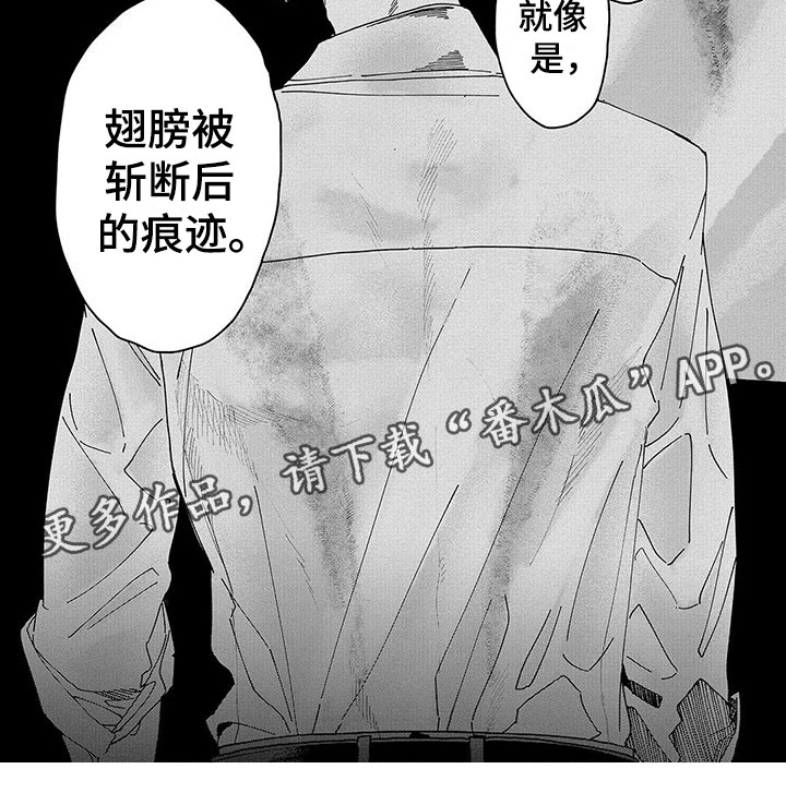 第18章：善意的谎言8