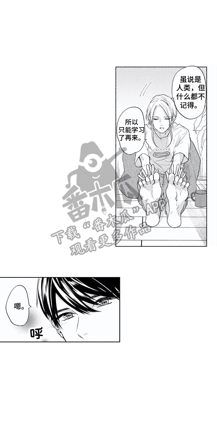 第13章：目的12