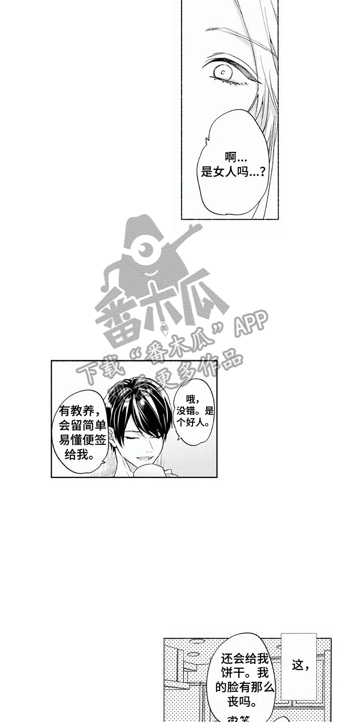 第11章：开心13