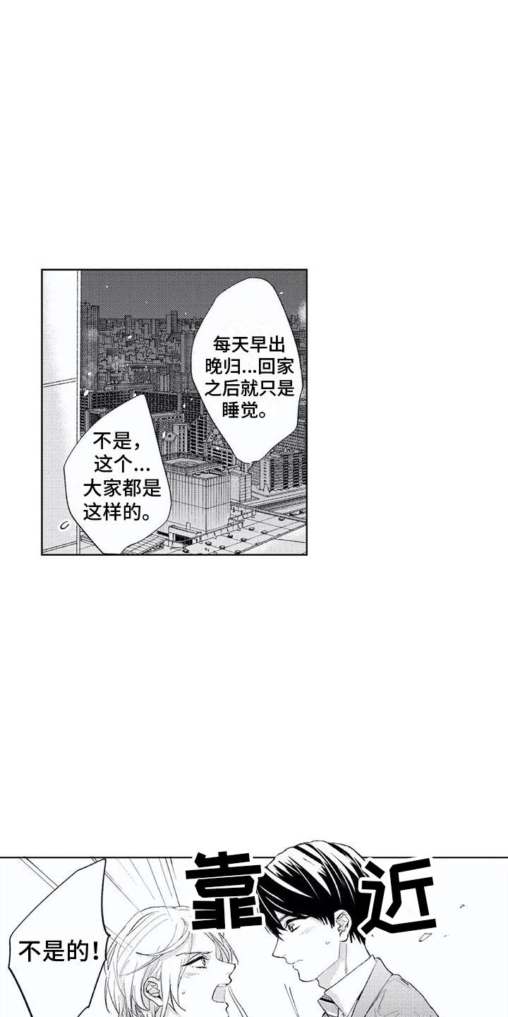 第3章：丘比特12