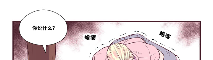 第11章：新产品测试8