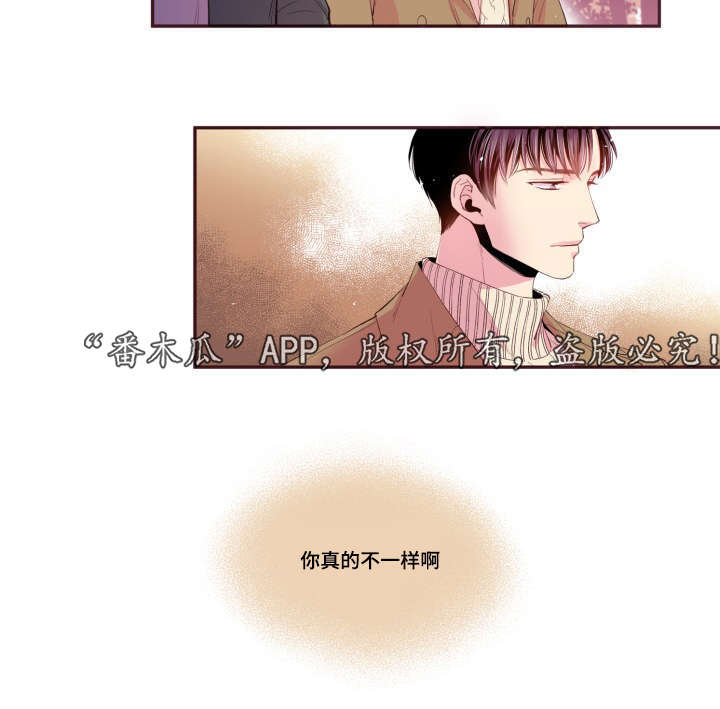 第47章：喜欢的人31