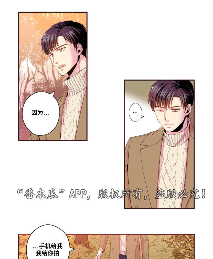 第47章：喜欢的人17