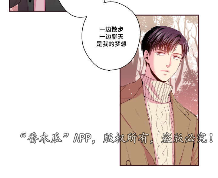 第47章：喜欢的人24