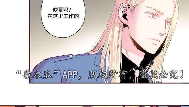 第49章：我不太懂15