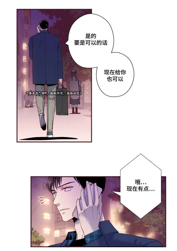 第27章：照片0