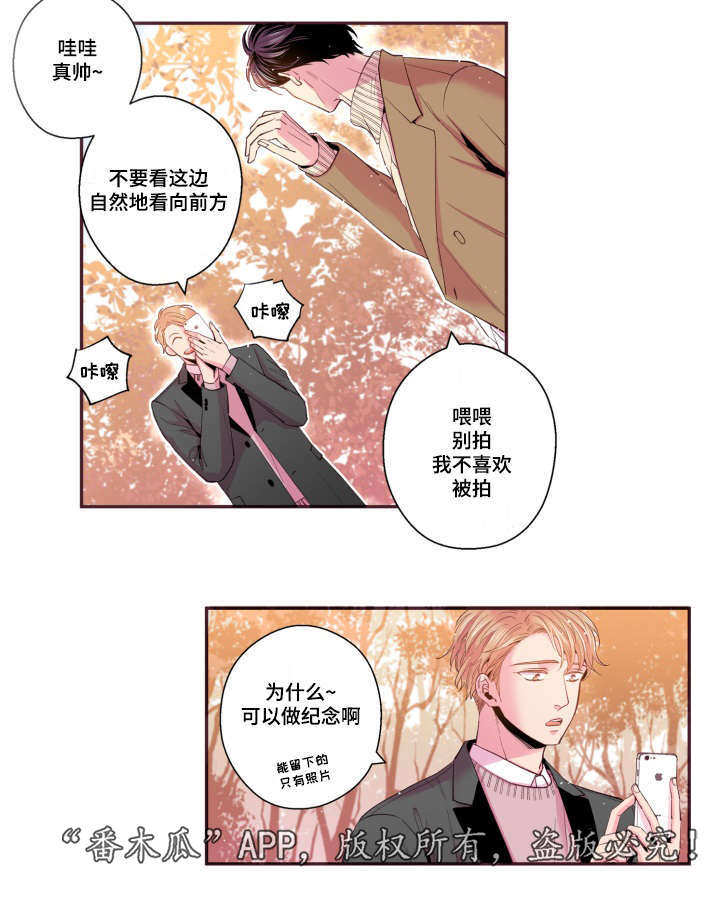 第47章：喜欢的人16