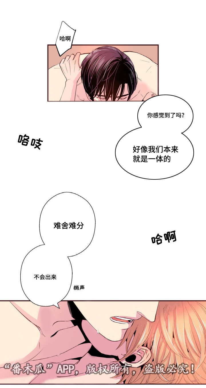 第33章：这次会更好的1