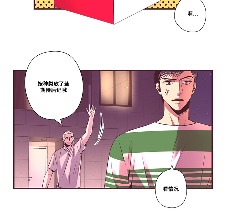 第11章：新产品测试21