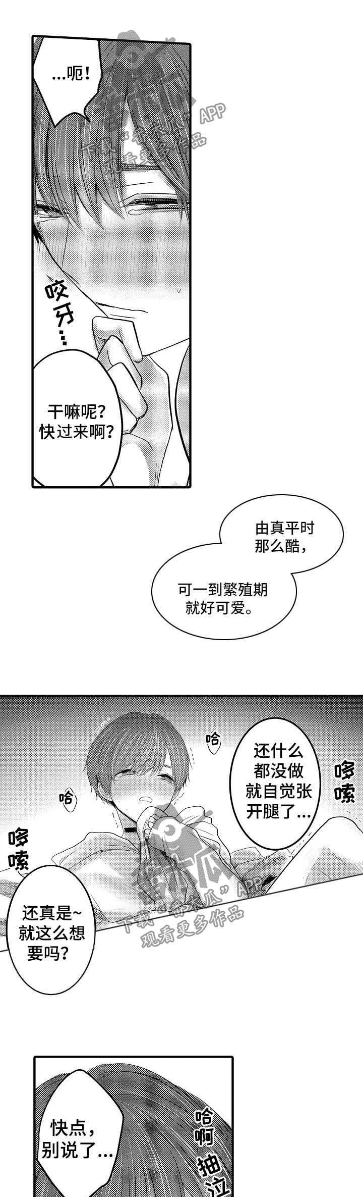 第49章：【第二季】我的妻子们5
