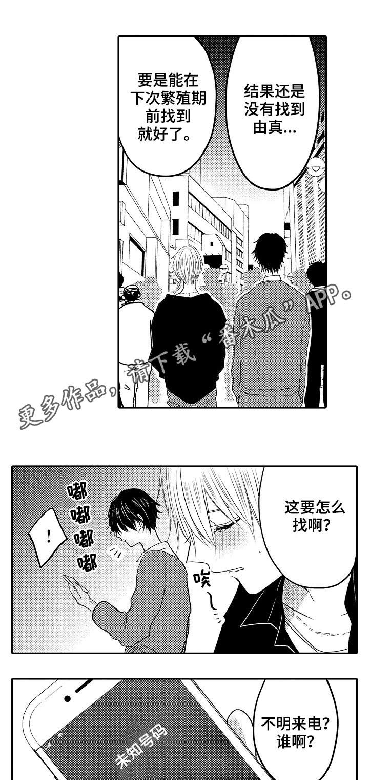 第31章：行踪0
