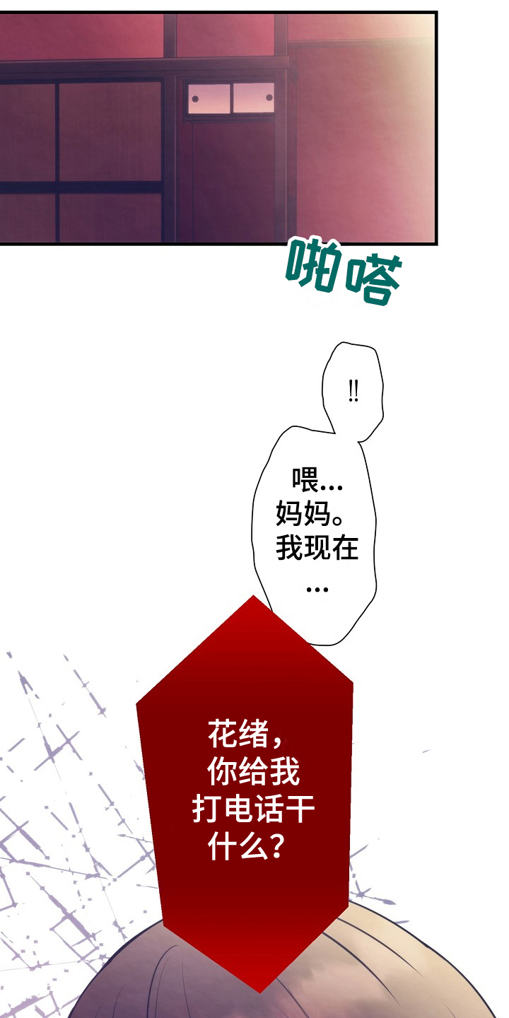 第6章：电话17