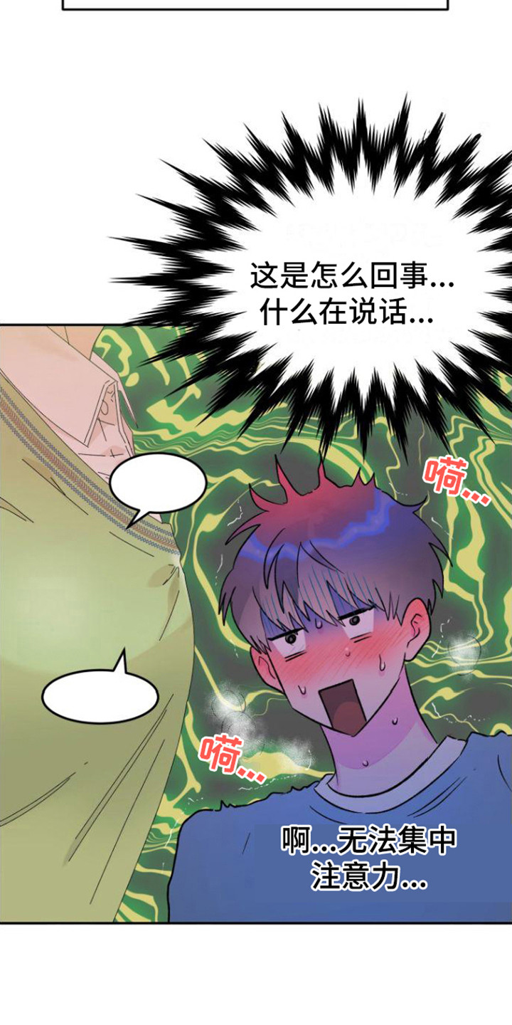 第1章：理想型13