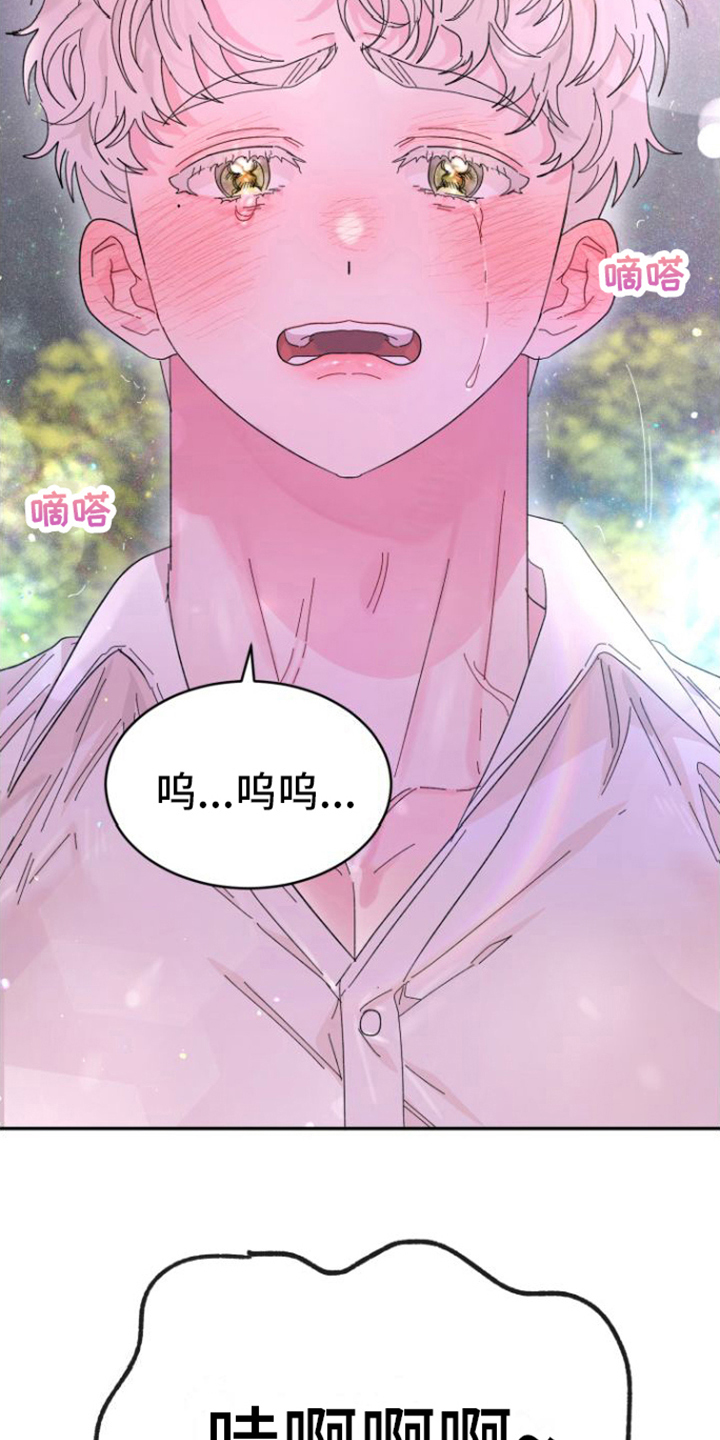 第20章：解释17