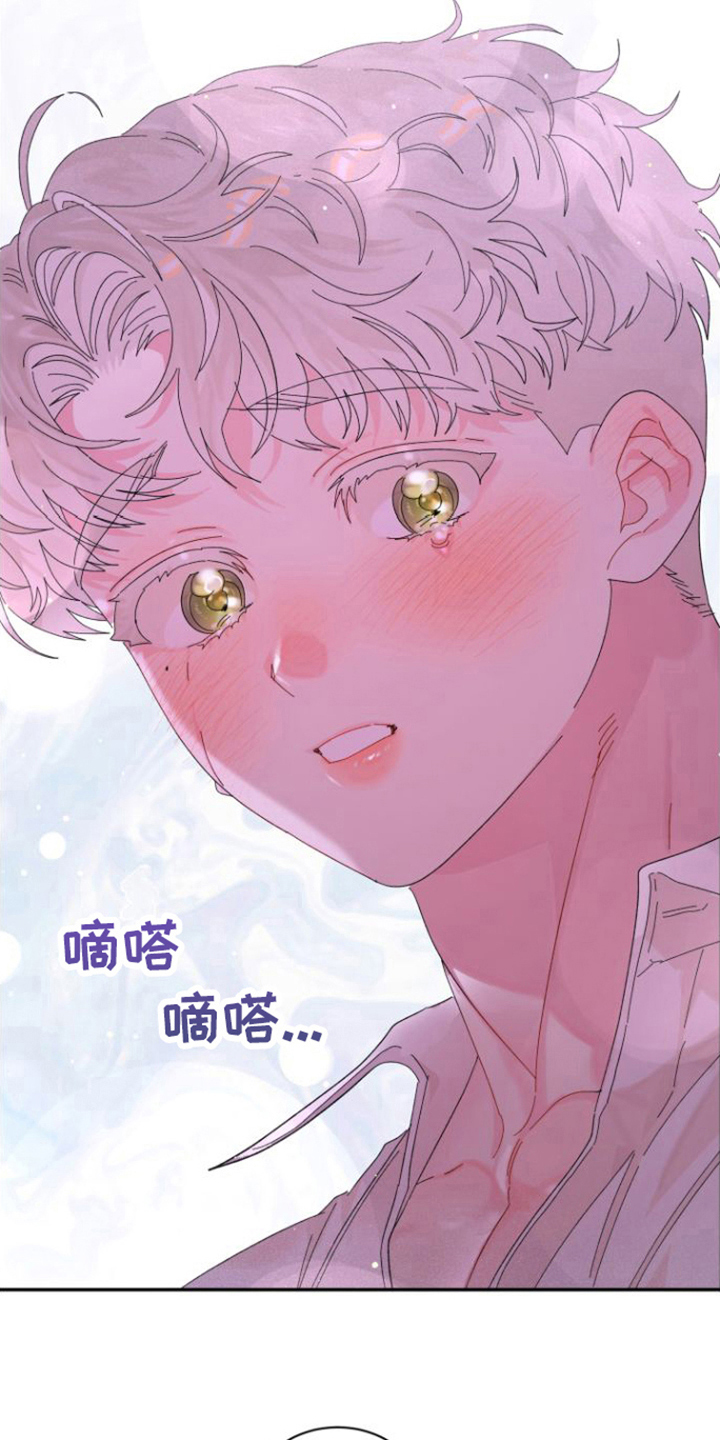 第19章：抓住17