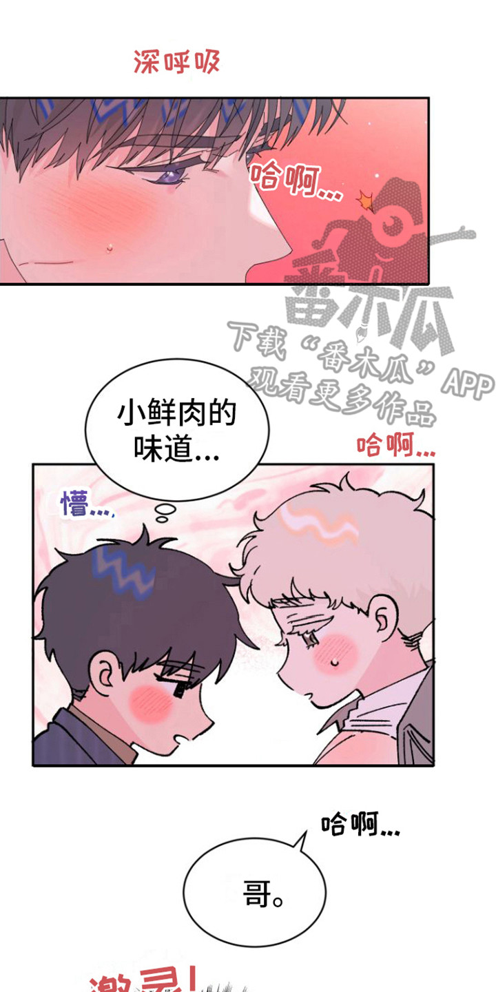 第11章：疼爱 13