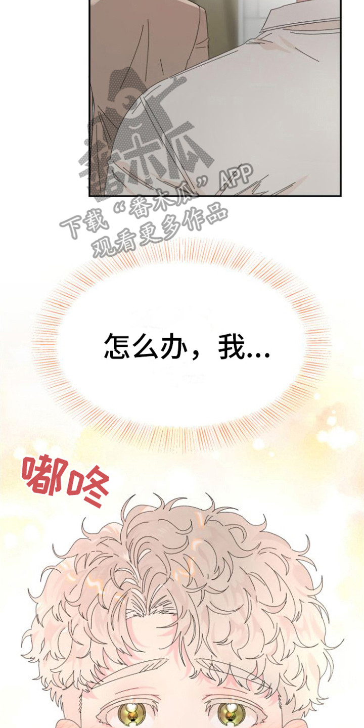 第17章：约会7