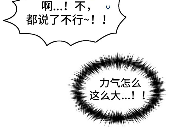 第11章：疼爱 20