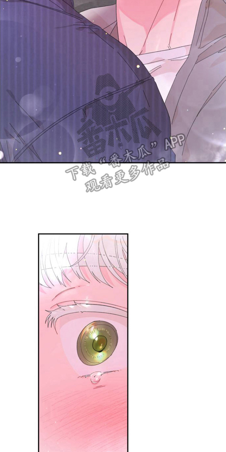 第10章：情不自禁13