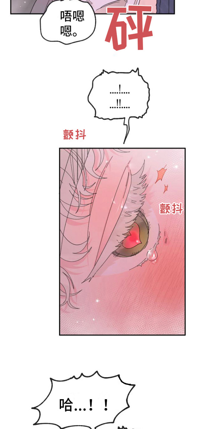 第12章：扯平了11