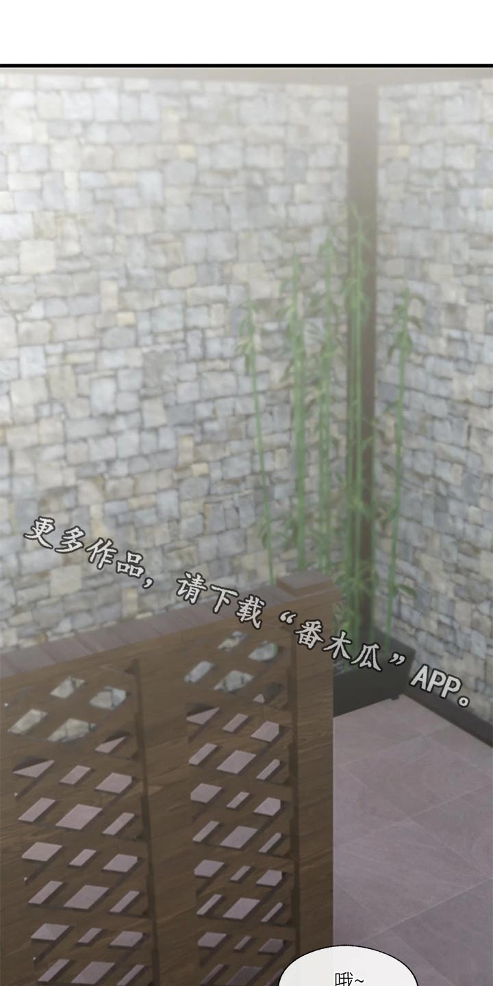 第36章：精灵0