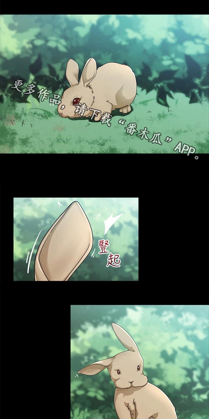 第29章：来了0