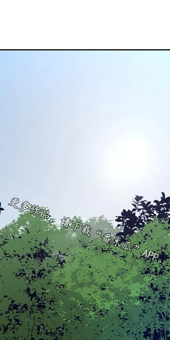 第31章：满意0