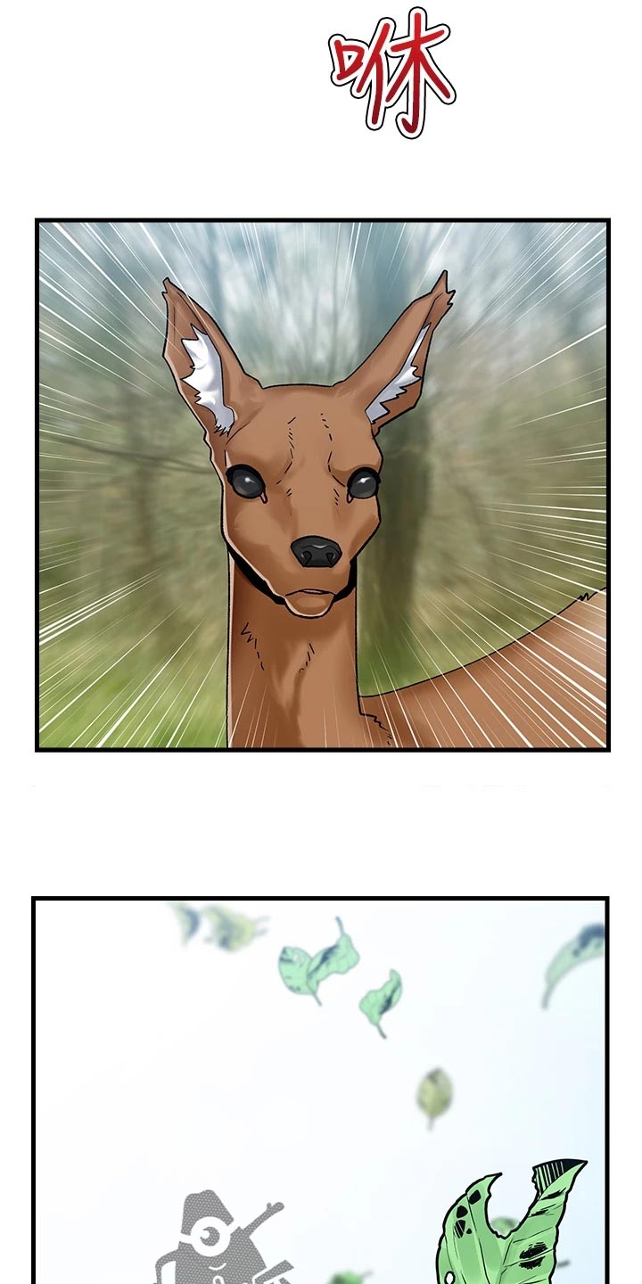 第18章：狩猎4