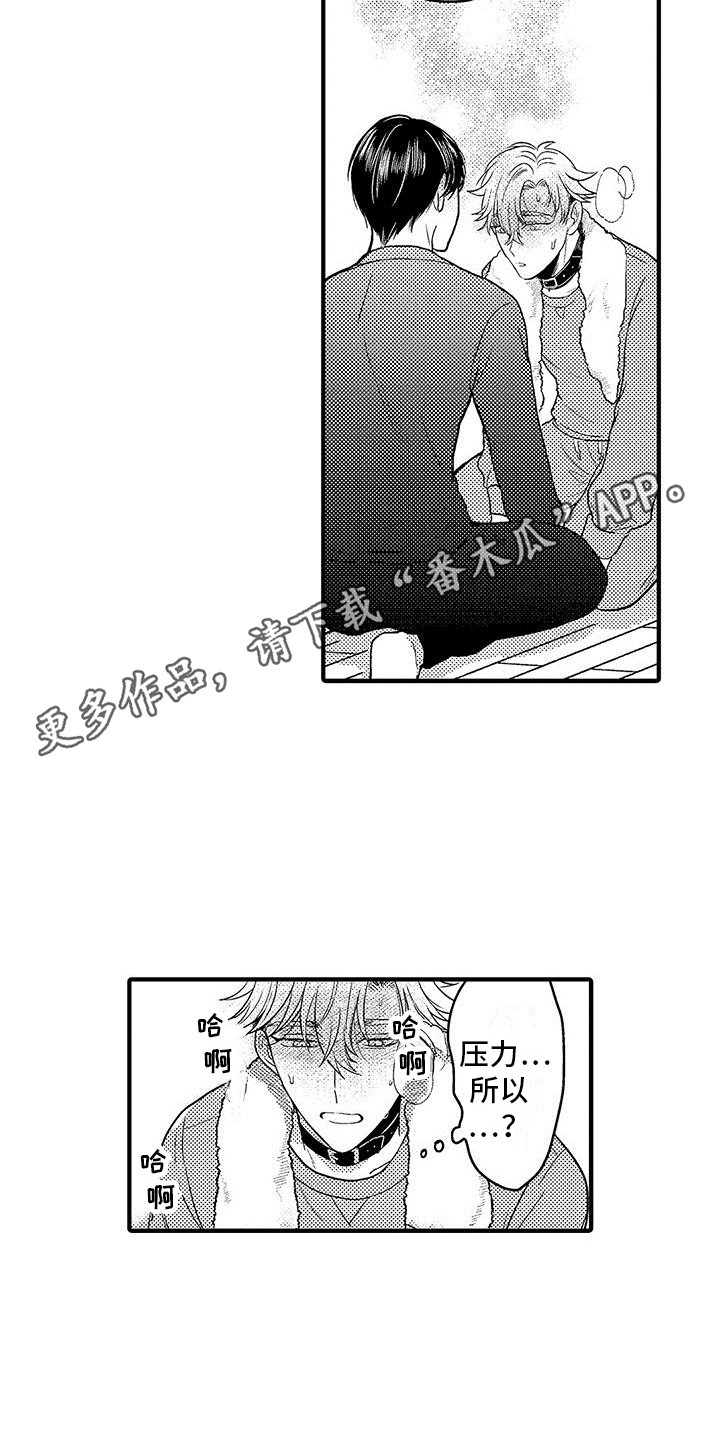 第28章：实验继续  9