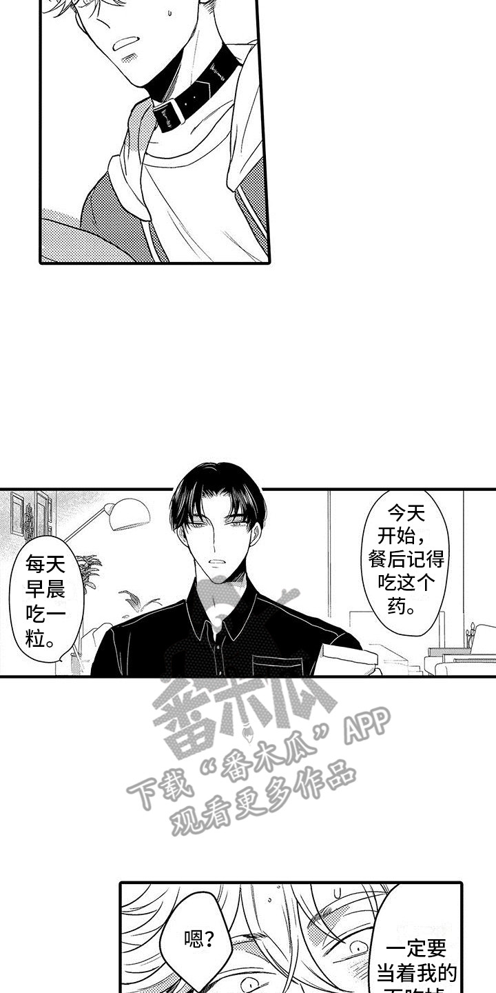 第17章：很积极6