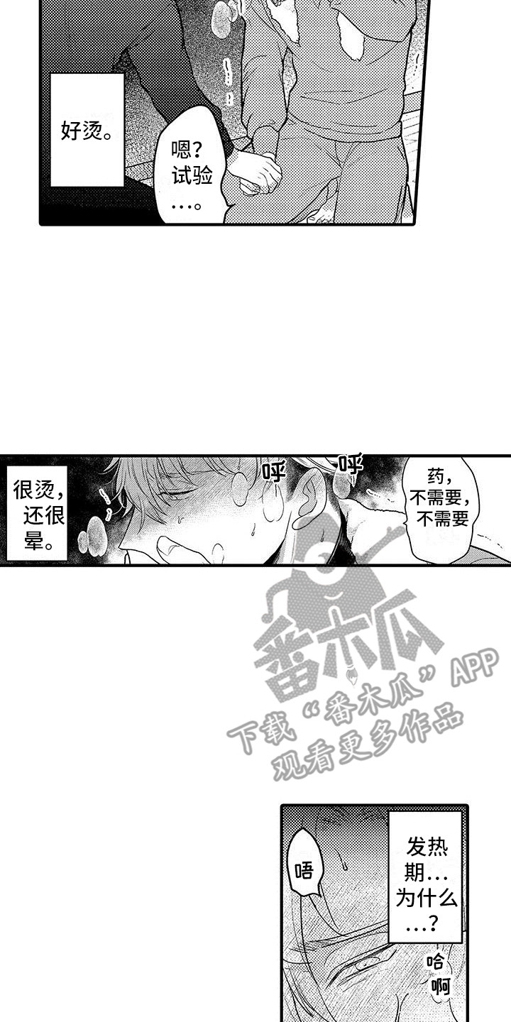 第28章：实验继续  6
