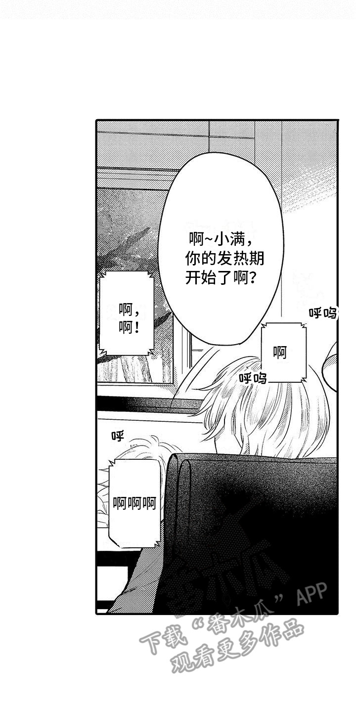 第8章： 发热期13